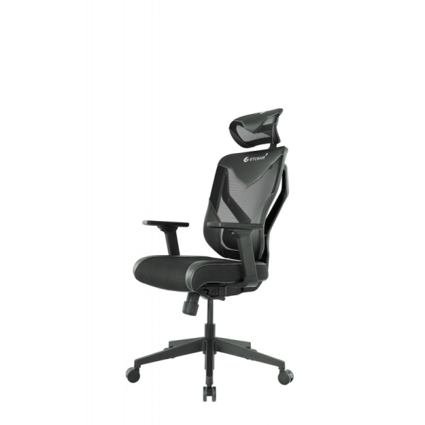 Купить Премиум игровое кресло GT Chair VIDA Z GR, черный